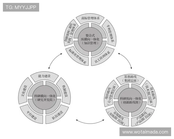 重磅专题：成都足球队如何实现管理模式的创新与突破